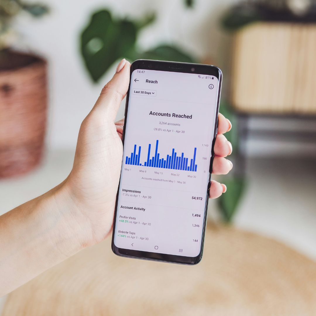 social media audience